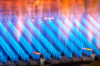 Boynton gas fired boilers